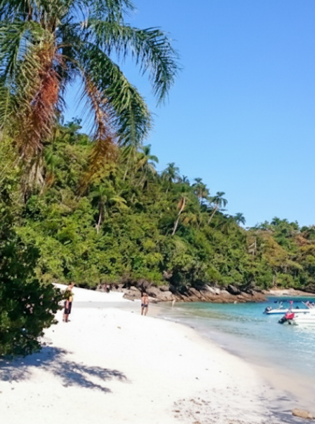 ilhas-paradisiacas-1-vert ilhas-paradisiacas-1-vert